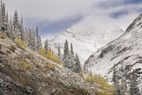 CO, Rocky Mts, Cinnamon Pass Autumn snowfall,